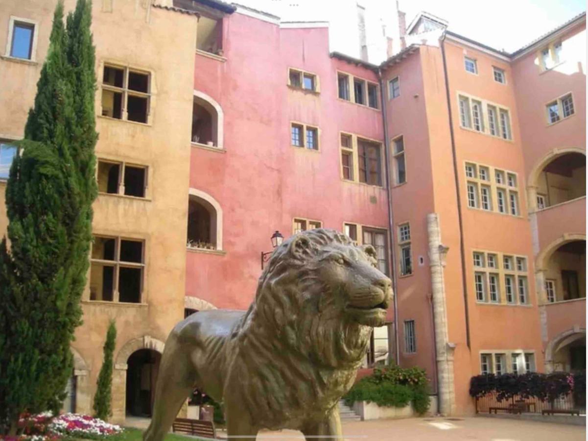 Ferienwohnung Beau Duplex Avec Jardin Et Vue Lyon Exterior foto